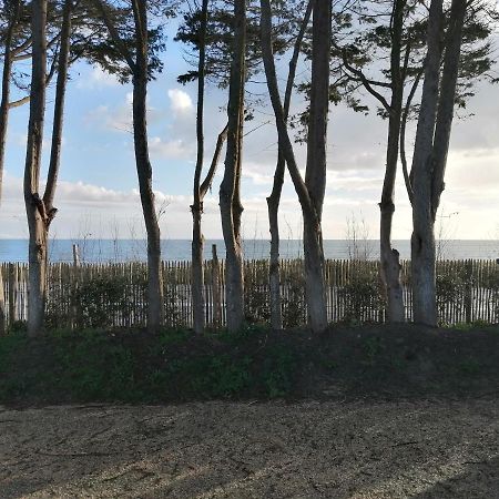 mobilhome neuf 2021 vue sur mer Quiberon Extérieur photo